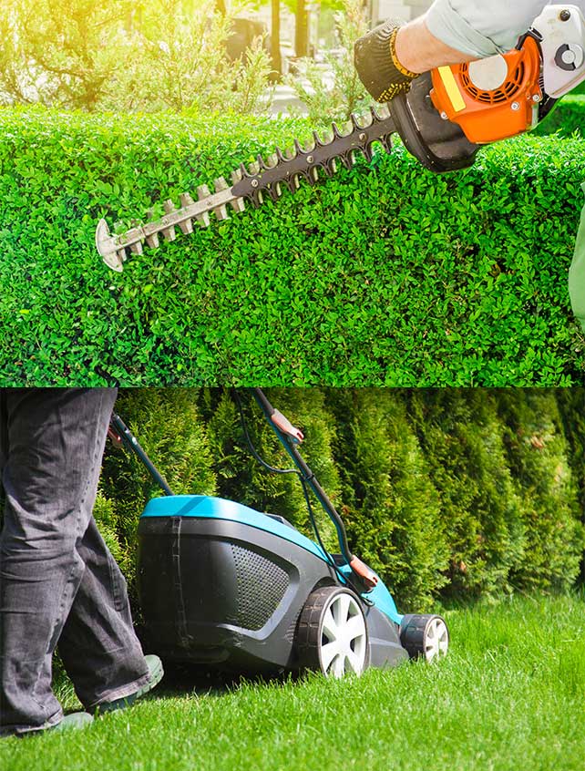 Oliver’S. Baumdienst: Gartenarbeiten
