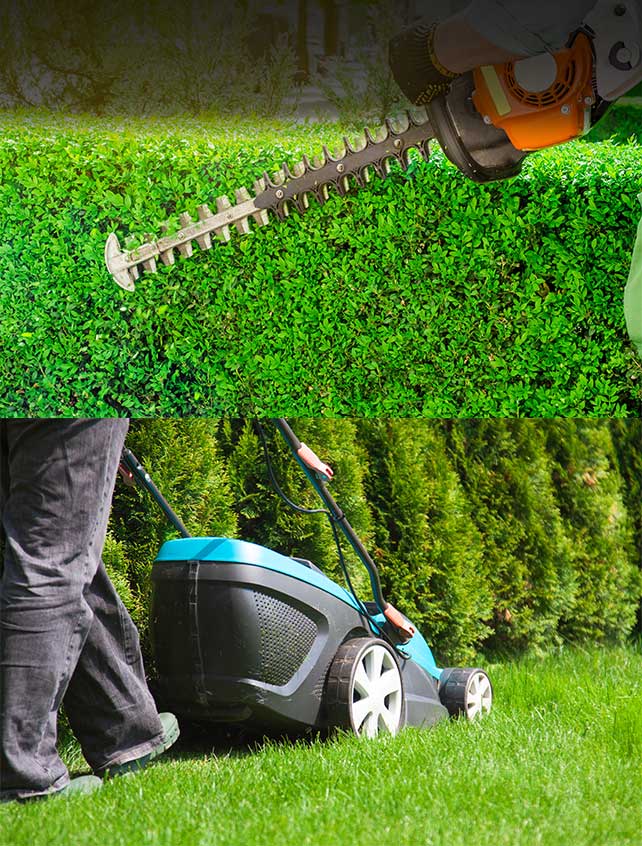 Oliver’S. Baumdienst: Gartenarbeiten